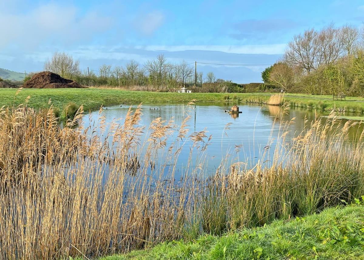 Rookery Manor Lodges Rooks Bridge Buitenkant foto